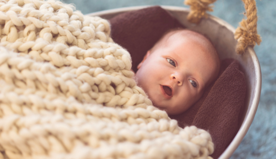 portfolio newborn