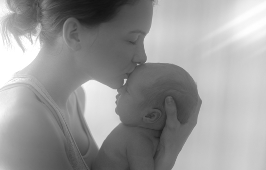 portfolio newborn