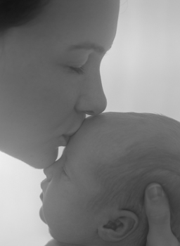 portfolio newborn