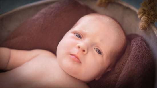 portfolio newborn