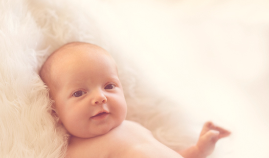 portfolio newborn