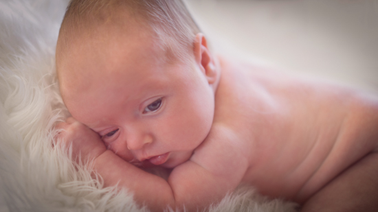 portfolio newborn