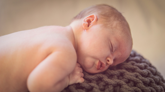 portfolio newborn